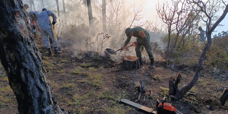 Apoya SEDENA en combate a incendio forestal