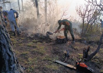 Apoya SEDENA en combate a incendio forestal