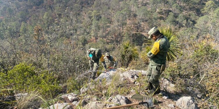 Apoya SEDENA en combate a incendio forestal