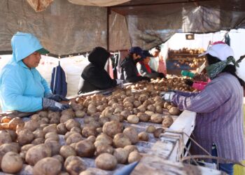Viven miles de mujeres rurales de México marginación, pobreza y abandono