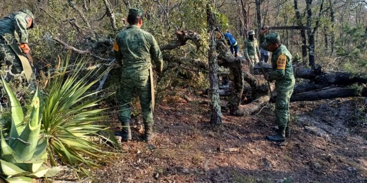 Apoya SEDENA en combate a incendio forestal