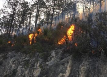 Se incendia sierra en Miquihuana