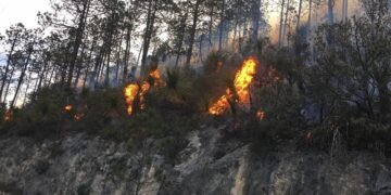 Se incendia sierra en Miquihuana