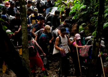 Más de 82.000 migrantes cruzan la peligrosa selva del Darién en lo que va de año