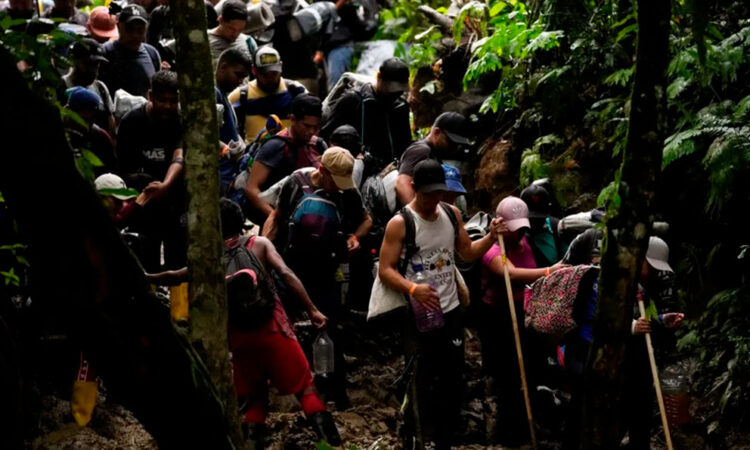 Más de 82.000 migrantes cruzan la peligrosa selva del Darién en lo que va de año