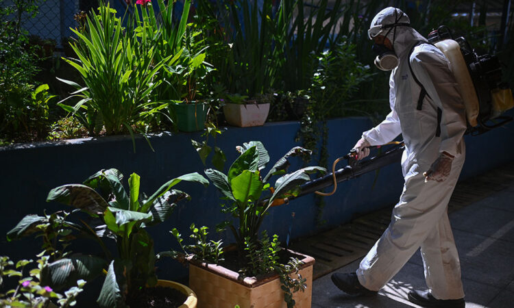 Se espera la peor temporada de dengue en la historia de América Latina, alerta la OPS