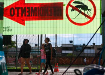 Brasil supera el millón de casos de dengue en lo que va del año 2024
