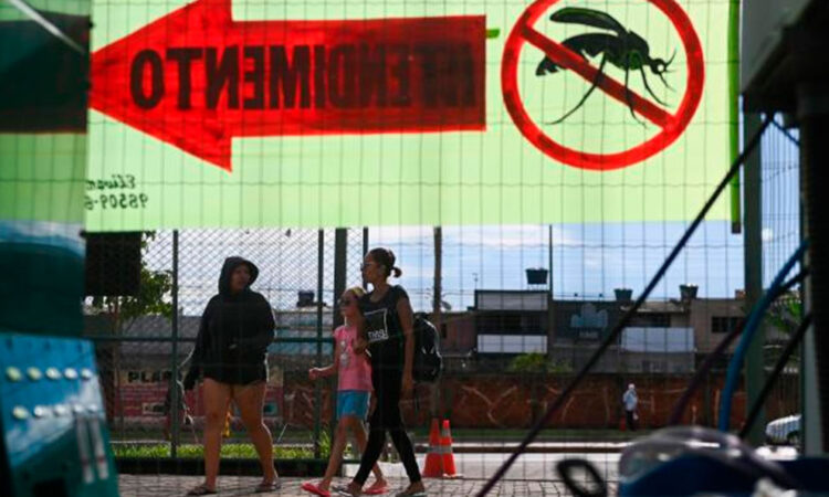 Brasil supera el millón de casos de dengue en lo que va del año 2024