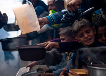 Llamado urgente de la FAO y el PMA para intervenir en la crisis alimentaria de Gaza