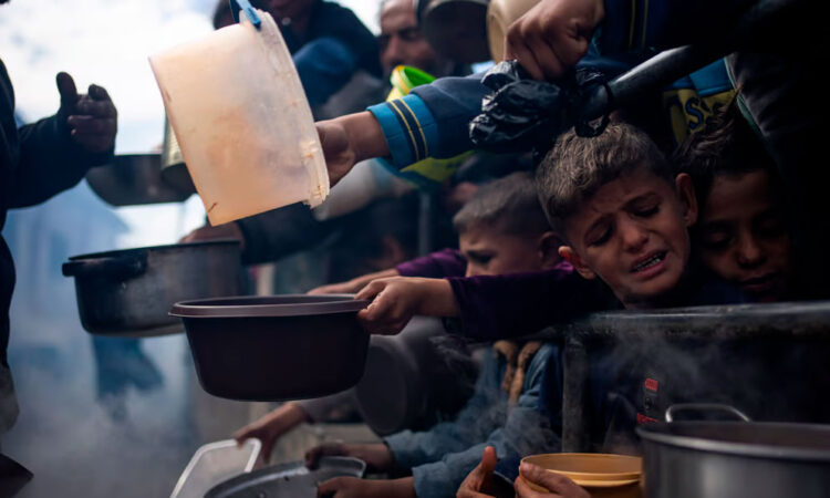 Llamado urgente de la FAO y el PMA para intervenir en la crisis alimentaria de Gaza