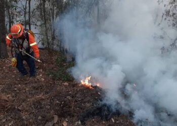 Fuego consume 180 hectáreas de vegetación en sierra de Hidalgo