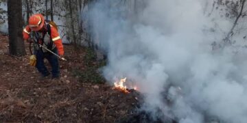 Fuego consume 180 hectáreas de vegetación en sierra de Hidalgo