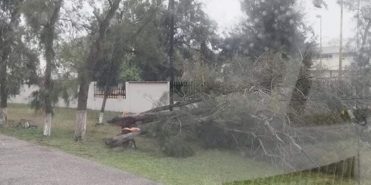 Tornado azota La Pesca, un muerto