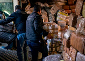 División internacional en la lucha contra las drogas: 60 estados exigen un nuevo enfoque