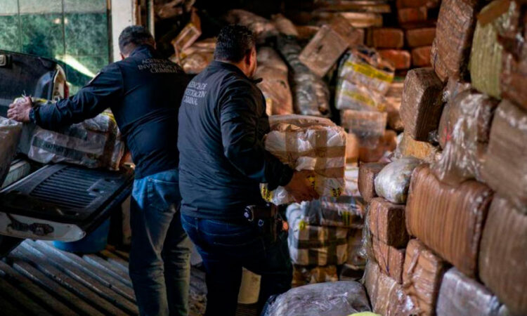 División internacional en la lucha contra las drogas: 60 estados exigen un nuevo enfoque