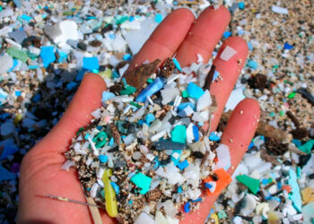 Hallazgo alarmante: Microplásticos contaminan yacimientos arqueológicos en la Antártida