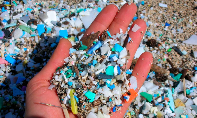 Hallazgo alarmante: Microplásticos contaminan yacimientos arqueológicos en la Antártida