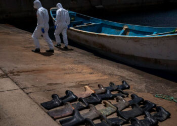 Alarmante cifra: Uno de cada tres migrantes fallece en ruta