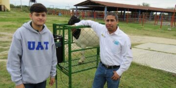 Estudiante de la UAT desarrolla innovador sistema de monitoreo de alimentación de borregos