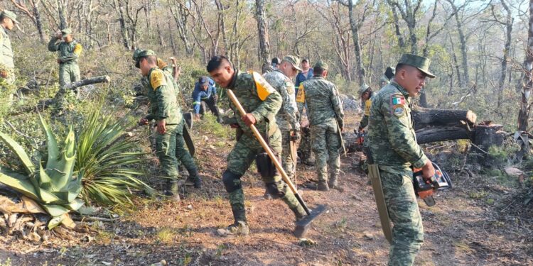 Apoya SEDENA en combate a incendio forestal