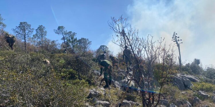 Apoya SEDENA en combate a incendio forestal