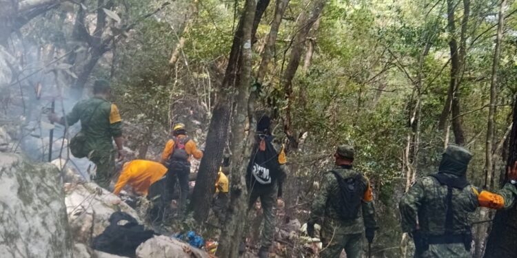 Controlan incendio forestal en Hidalgo