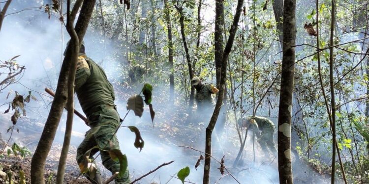 Controlan incendio forestal en Hidalgo