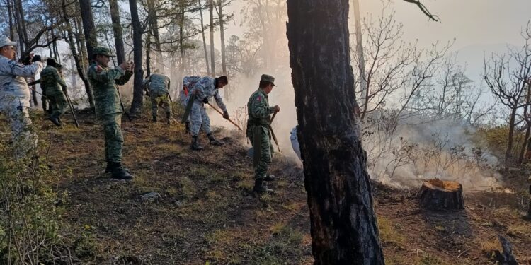 Apoya SEDENA en combate a incendio forestal