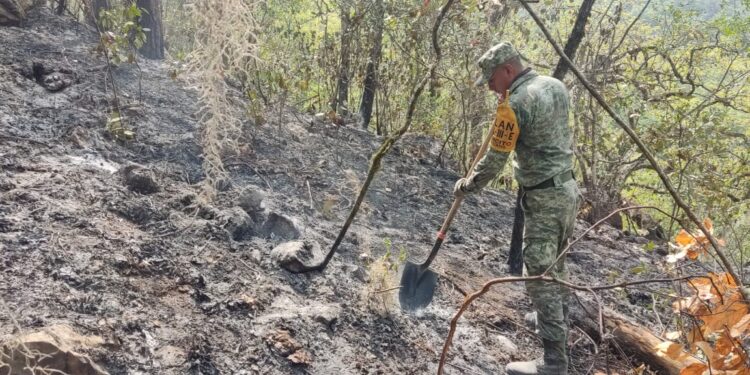 Controlan incendio forestal en Hidalgo