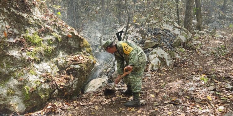 Controlan incendio forestal en Hidalgo