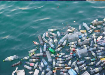 Ministros de la ONU acuerdan impulsar negociaciones para tratado contra la contaminación del plástico