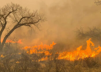 Texas enfrenta el peor incendio en su historia: Vientos fuertes y altas temperaturas intensifican la crisis