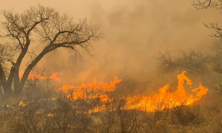 Texas enfrenta el peor incendio en su historia: Vientos fuertes y altas temperaturas intensifican la crisis