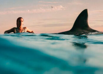 Dua Lipa revela el título y detalles de su esperado tercer álbum: Radical Optimism