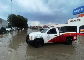 Granizada sorprende a habitantes de Saltillo; hay encharcamientos y árboles caídos
