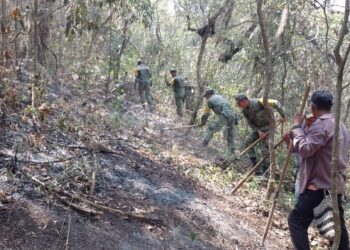 Militares y Guardias Nacionales sofocan incendio forestal en sierra de Tula
