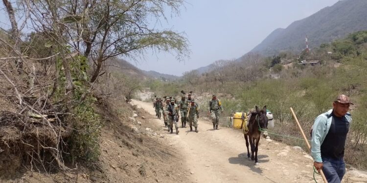 Militares y Guardias Nacionales sofocan incendio forestal en sierra de Tula