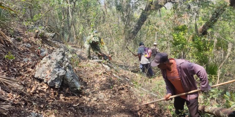 Militares y Guardias Nacionales sofocan incendio forestal en sierra de Tula