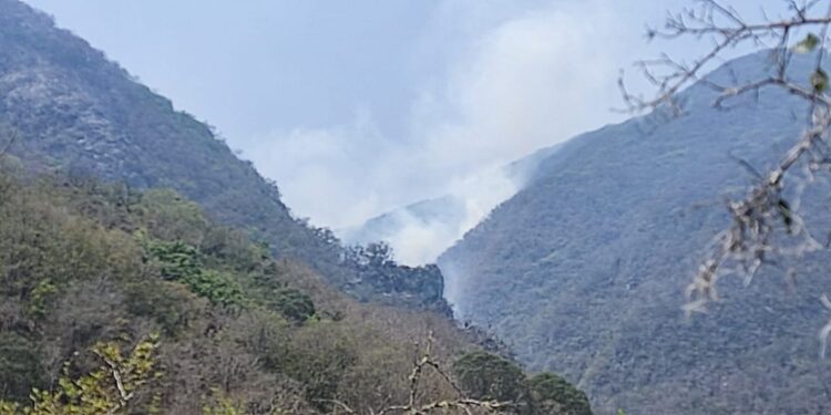 Militares y Guardias Nacionales sofocan incendio forestal en sierra de Tula