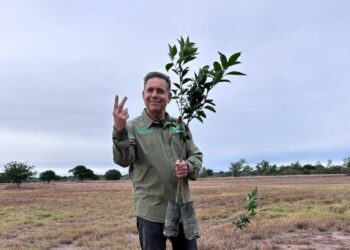 Propone Eugenio plantar un árbol en Tamaulipas por cada voto recibido
