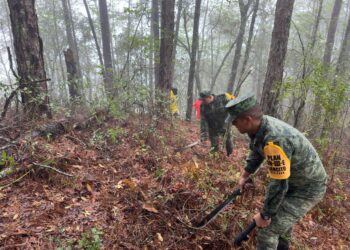 Militares trabajan en sofocar incendio forestal en Ejido “El Olmo” de Güémez