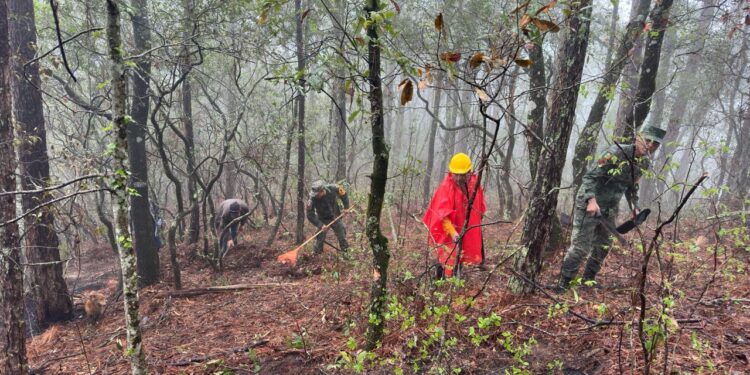 Militares trabajan en sofocar incendio forestal en Ejido “El Olmo” de Güémez