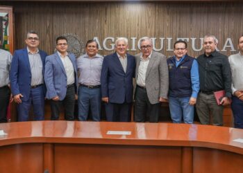 Pactan precio de tonelada de maíz en 5 mil 257 pesos para ciclo otoño-invierno 2023/2024