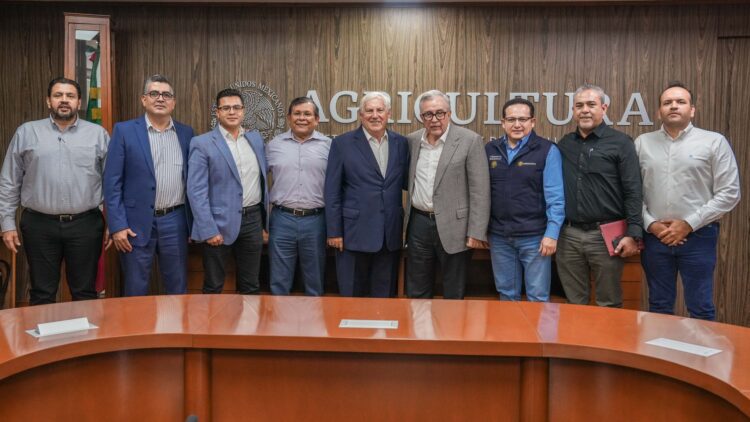 Pactan precio de tonelada de maíz en 5 mil 257 pesos para ciclo otoño-invierno 2023/2024