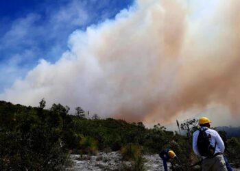 Extinguen incendios forestales
