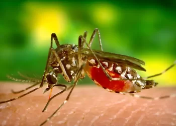 Epidemia de dengue en Guatemala; gobierno declara emergencia nacional