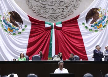 Definen Diputados las sustancias o productos prohibidos en animales para consumo humano