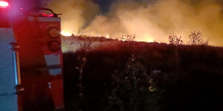 Se registra incendio en el relleno sanitario de Cd. Victoria