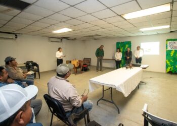 Aporta UAT innovaciones para la producción citrícola en Tamaulipas