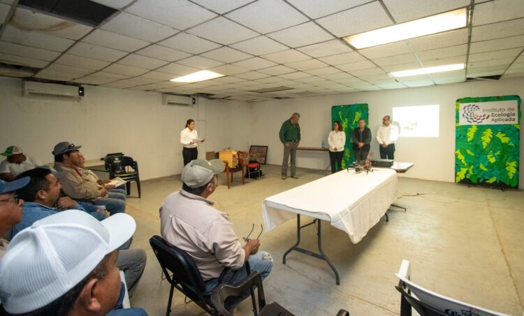 Aporta UAT innovaciones para la producción citrícola en Tamaulipas